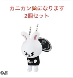 SKZOO スキズつまんでつなげてますこっと リノ　リービット　2個セット