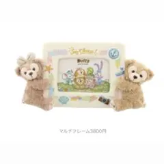 ディズニー　ダッフィーとシェリーメイぬいぐるみ付き　フォトフレーム