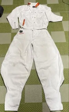 Item thumbnail for item 76785fe4-3587-4c5e-8e22-787fb30714b4