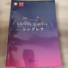 新国立劇場パンフレット