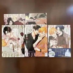 理想的恋愛の条件 2 3 特装版　計3冊セット