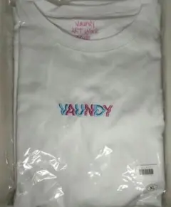 【未開封】VAUNDY ロゴTシャツ　Blue×Pink サイズXL