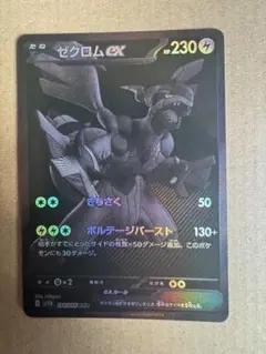 メガルカリオEX ゼクロムEX セット メガブレイブ メガルカリオSR メガルカリオexセット - メルカリ