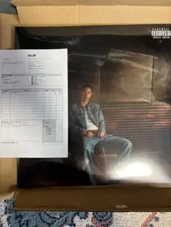 【値引不可】IO JUST ALBUM [2LP] レコード kandytown IO「JUST ALBUM」数量限定2LP - TROOP RECORDS