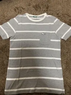 ラコステ EXCLUSIVE ボーダー グレー Tシャツ カットソー サイズ2