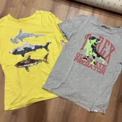 Item thumbnail for item b5d74a84-d3ee-48fd-b831-57fdc35cd06e