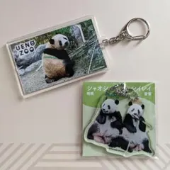 鳥羽水族館 メイちゃん キラちゃん アクリルパネルキーホルダー 3点