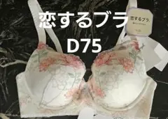 251100 トリンプ　恋するブラ　ブラジャー　d75