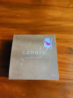 Item thumbnail for item 1e57627a-8f60-42a4-909d-906801913c98