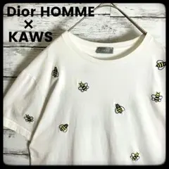 DIOR × KAWS ディオール カウズ 蜂 刺繍 Tシャツ 2026年最新】dior kaws tシャツの人気アイテム - メルカリ