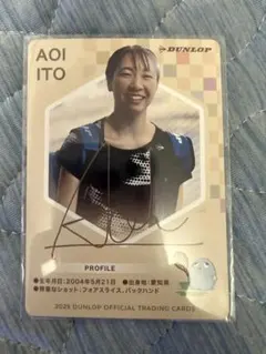 Item thumbnail for item d2ce4f5b-d6ec-406d-a432-5e01ec88d4b6