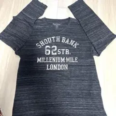 Sofhoneグレー Vネック Tシャツ L