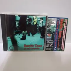 Hectic Toes 　the end of beginning