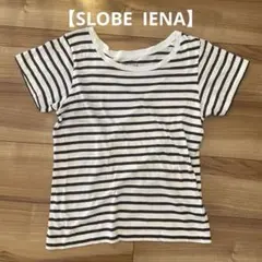 SLOBE IÉNA ボーダー Tシャツ　ブラウン×ホワイトのサムネイル