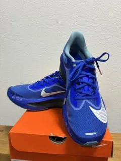 Nike Zoom Fly 6 メンズ25.5cm
