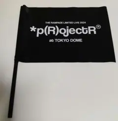 【美品】THE RAMPAGE LIMITED LIVE 2024フラッグ