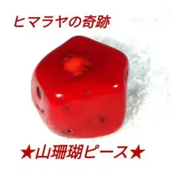 2026年最新】山珊瑚の人気アイテム - メルカリ