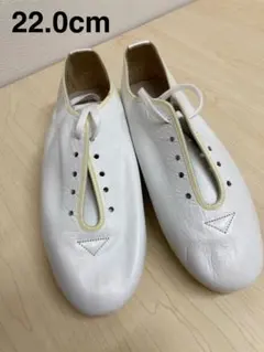 Item thumbnail for item c78aea3b-fc98-4621-ac1f-eca782b41065