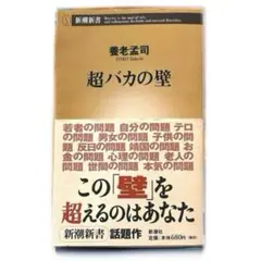 Item thumbnail for item aa48c4c9-d54b-4e95-afbb-b3230b560b5a