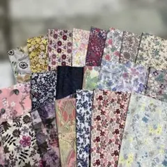 リバティタナローン 219g