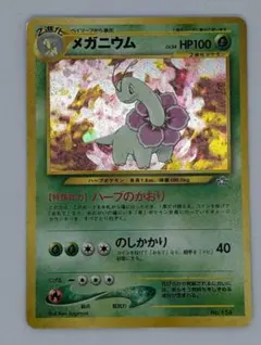 メガニウム（旧裏）neoプレミアムファイル ワンオーナー良品 ポケカ