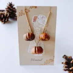 プッカポッドのネックレス&ピアス