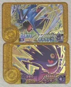f*r様 ポケモンフレンダベストタッグ5弾　レガシー2種セット