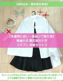 【未使用に近い・美品シワ取り済】鬼滅の刃 栗花落 カナヲ コスプレ 衣装 S