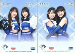 Item thumbnail for item 30d84c5a-6ba5-42d5-b606-16f9334fa62f