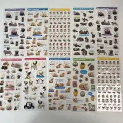 Item thumbnail for item 4ac17a37-bfd9-4d31-a35a-1fb6c3fcf1d5