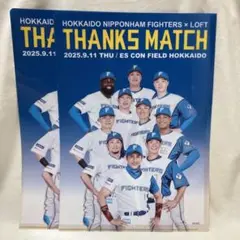 未使用‼️ 日本ハムファイターズ A4 クリアファイル 2枚 LoFt コラボ