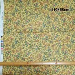 HOKKOH 生地 ボタニカル柄 木の実/berry マスタード/緑 はぎれ