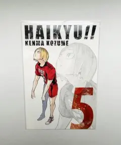 ハイキュー　ゲンガ×タイカン 特典ポストカード　孤爪研磨