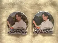 TRIBEKINGDAM KCKトラキン 八木勇征 マグネット 2点セット
