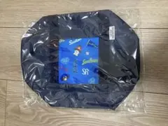 東京ヤクルトスワローズ つば九郎　キッズ　ボストンバック