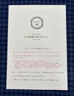 ☆ フリル袖の後ろ下がりプルオーバー　mionパターン