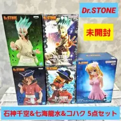 ドクターストーン 石神千空 七海龍水 コハク フィギュア5点セット 未開封 Amazon.co.jp: 中 Dr.STONE 石神千空 七海龍水 コハク