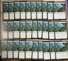 MTG 人道に対する膿/Slime Against Humanity 日30