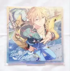 はちわれ様 リクエスト 2点 まとめ商品