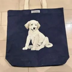 Item thumbnail for item a464c5dd-e778-4b76-9ab4-1d223dcdfb5f