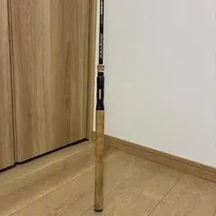 エバーグリーン カレイド The Strider RS | Mercari
