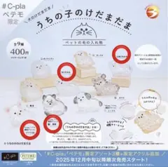 うちの子のけだまだま 黒柴　チワワ 三角たれみみ 丸たれみみ 限定 犬 正規品