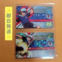 希少　アニマルカイザー　デュエル・マスターズ　ポケモンカード　イナズマイレブン メルカリ