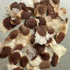 ちょぼる様 リクエスト 2点 まとめ商品