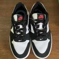 NIKE SB ALLEYOOP スニーカー　23cm