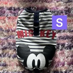 Item thumbnail for item 494de298-b3a9-451a-812d-789ce55c1a75