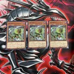 遊戯王OCG 捕食植物サンデウ・キンジー 3枚セット