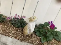 専用ページ