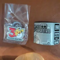 ポケモン 30周年メタルチャームマスコット　ピカチュウ