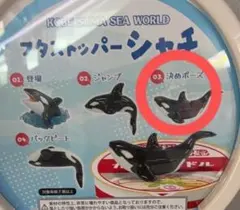 2025年最新】シャチぬいぐるみの人気アイテム - メルカリ